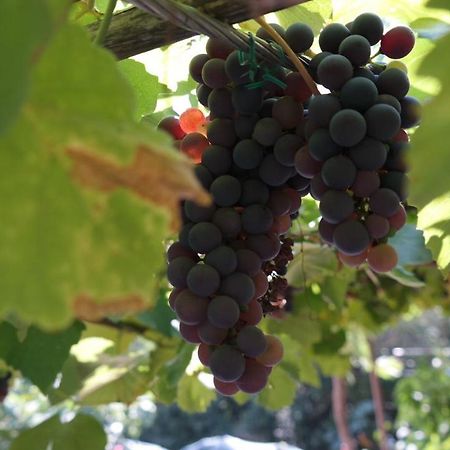 Apartman Ana Novi Vinodolski Luaran gambar