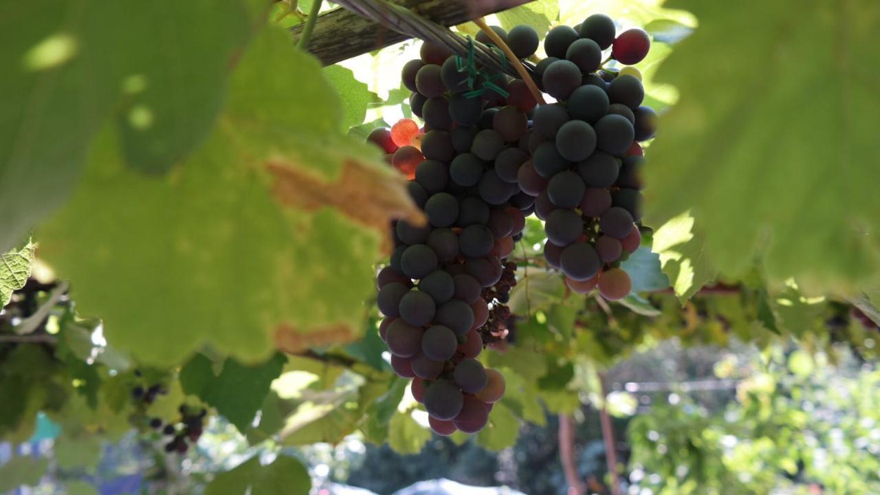 Apartman Ana Novi Vinodolski Luaran gambar